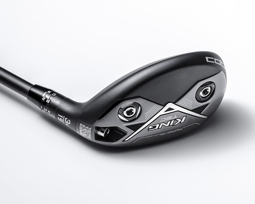 ADJUSTABLE WEIGHTING SYSTEM